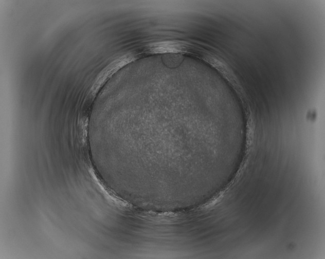 X0000115311233200911161713