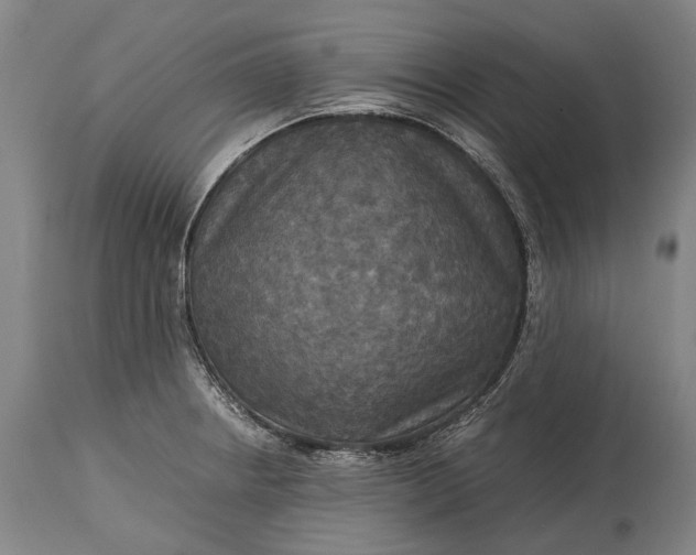 X0000115311234200911161713