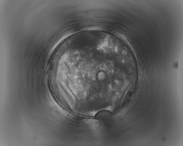 X0000115311235200911161713