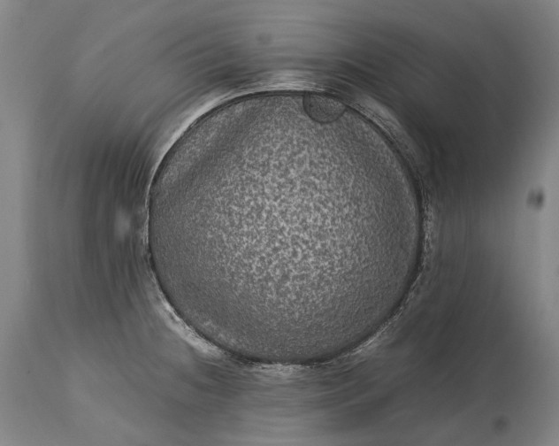 X0000115311236200911161713