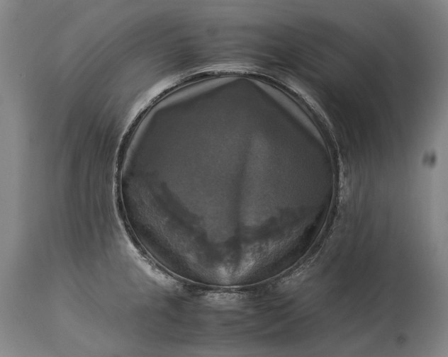 X0000115311237200911161713