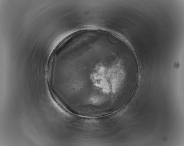 X0000115311239200911161713