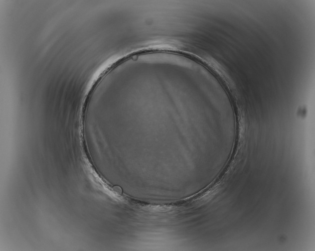 X0000115311240200911161713