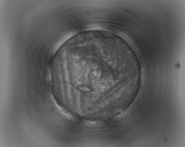 X0000115311241200911161713