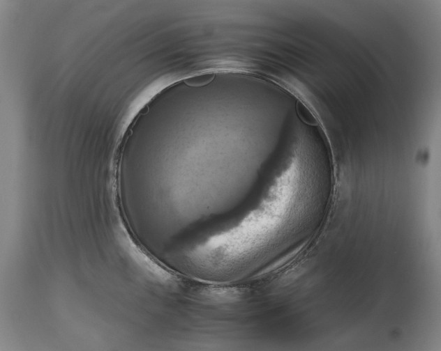 X0000115311243200911161713