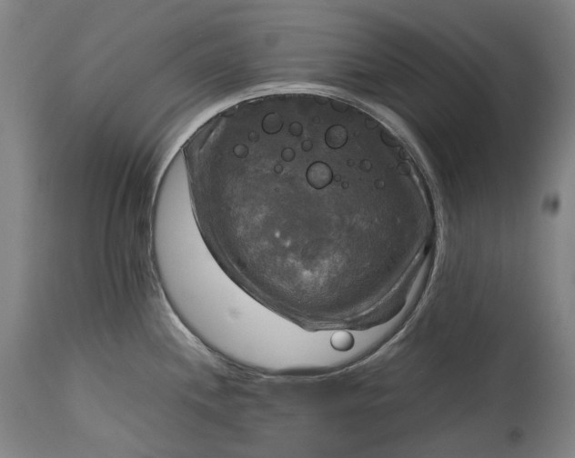 X0000115311244200911161713