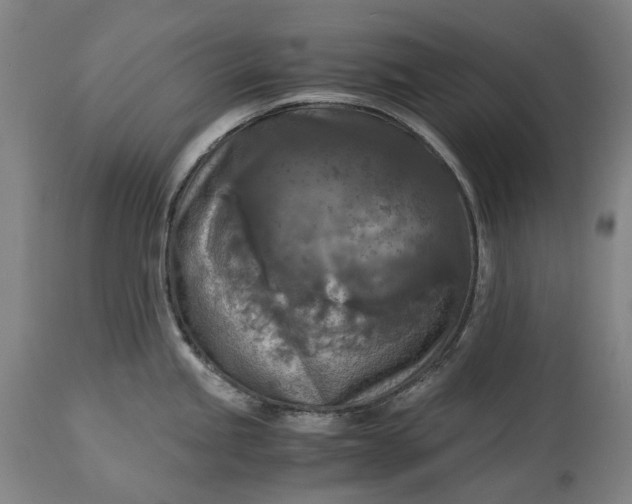 X0000115311245200911161713