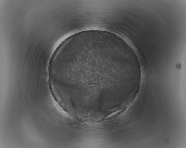 X0000115311246200911161713