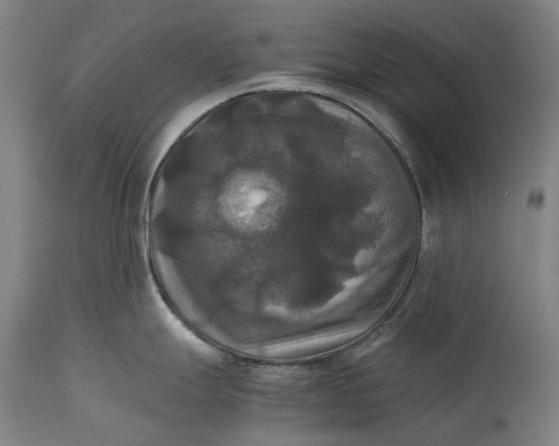 X0000115311247200911161713