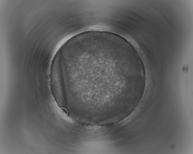 X0000115311248200911161713