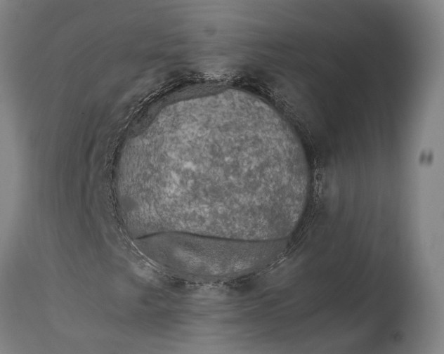 X0000115311249200911161713