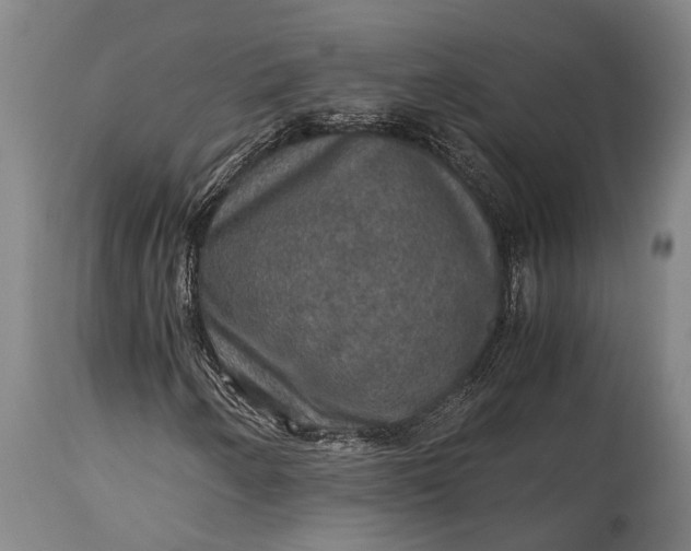 X0000115311250200911161713