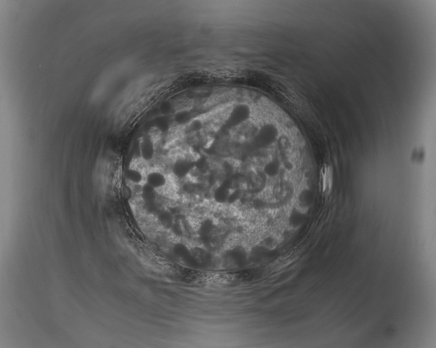 X0000115311251200911161713