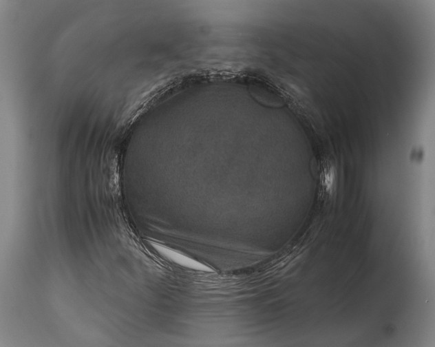 X0000115311252200911161713