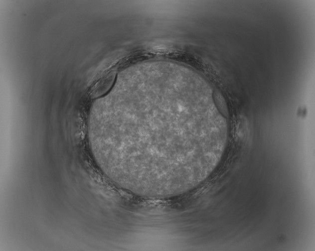 X0000115311253200911161713