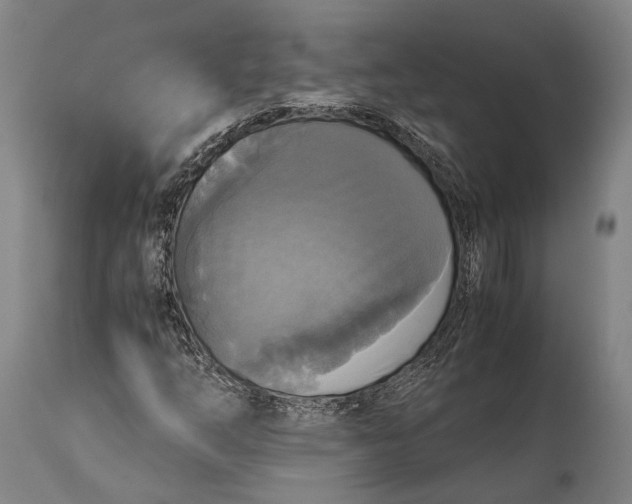 X0000115311254200911161713