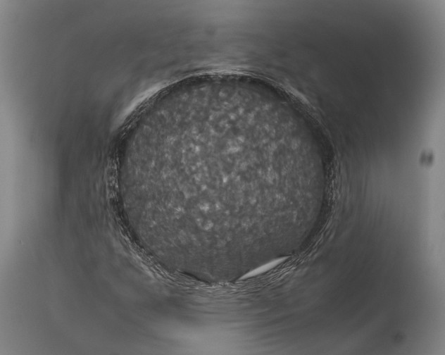 X0000115311255200911161713