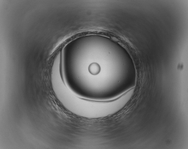 X0000115311256200911161713