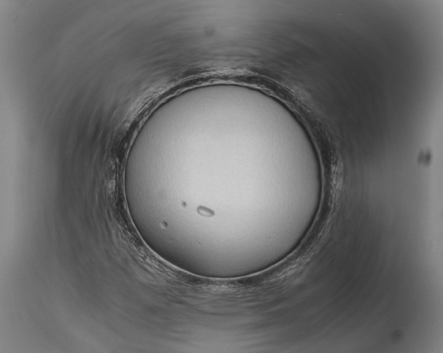 X0000115311257200911161713