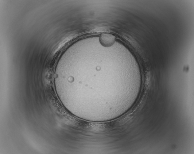 X0000115311258200911161713