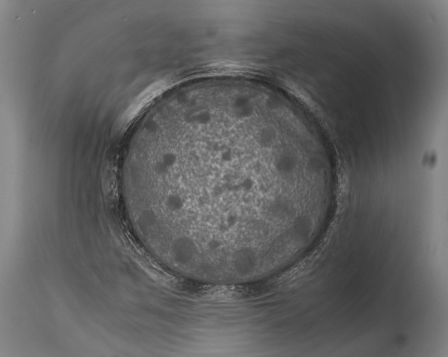 X0000115311259200911161713