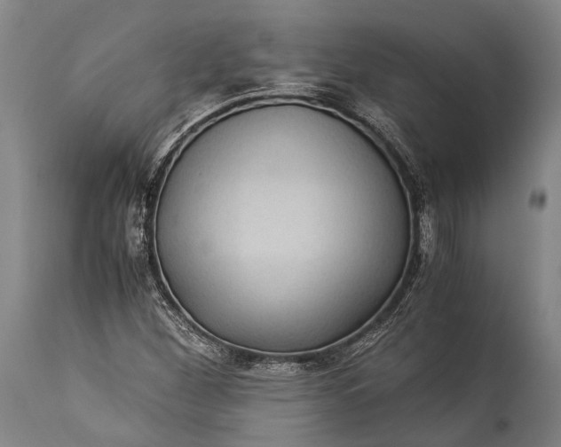 X0000115311260200911161713