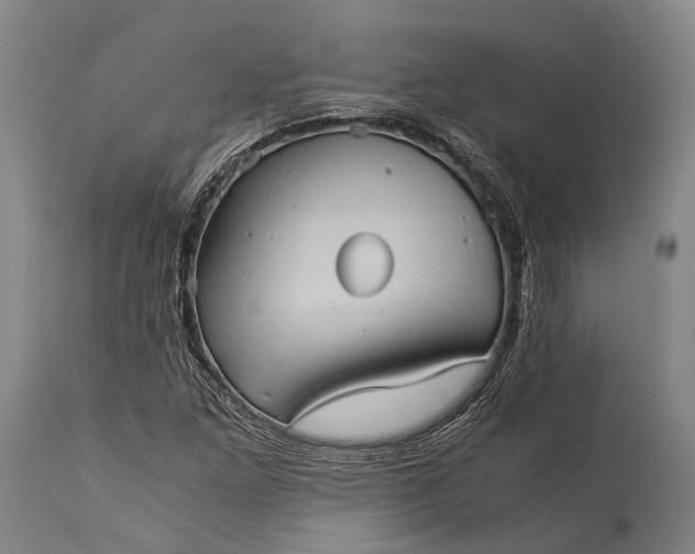 X0000115311261200911161713