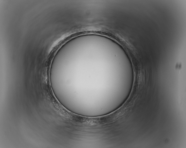 X0000115311262200911161713