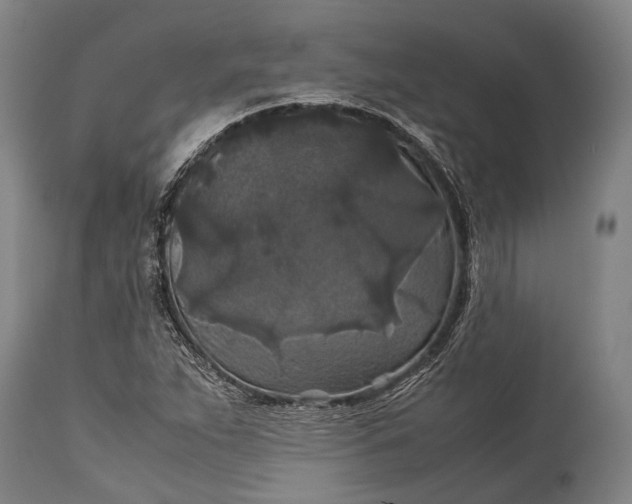 X0000115311263200911161713