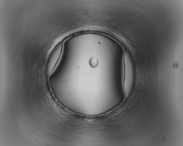 X0000115311264200911161713