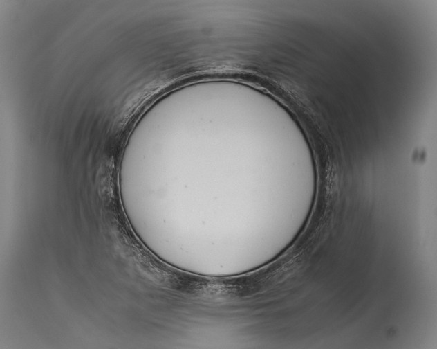 X0000115311265200911161713