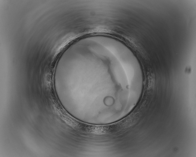 X0000115311266200911161713