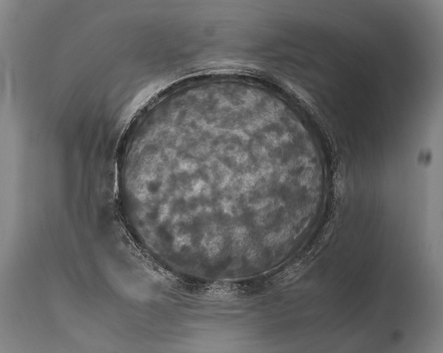 X0000115311267200911161713