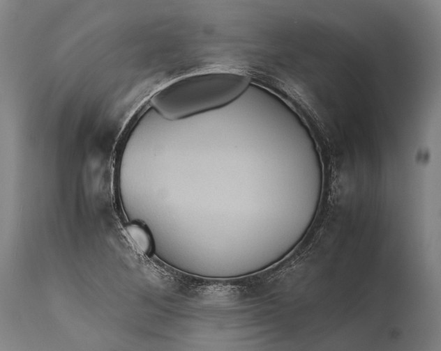 X0000115311268200911161713