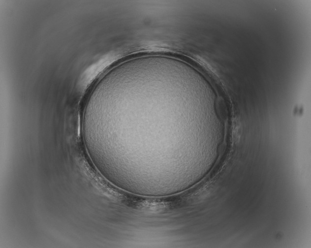 X0000115311269200911161713