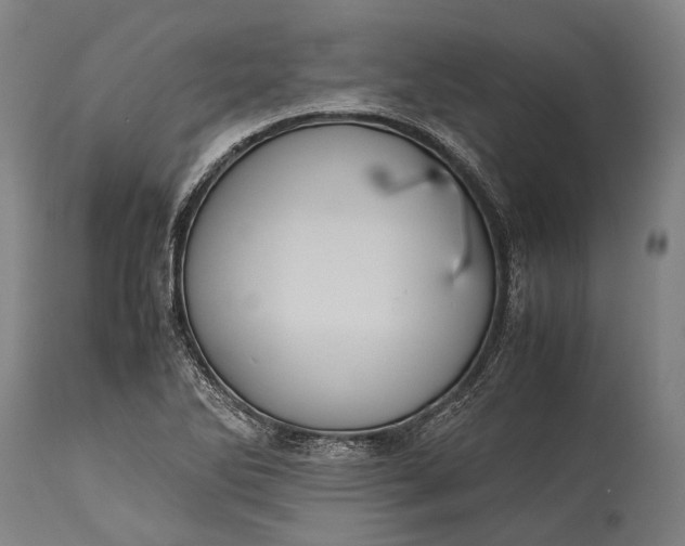 X0000115311270200911161712