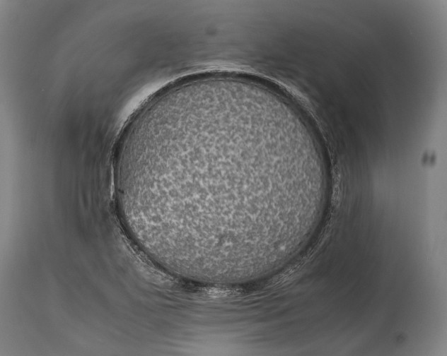 X0000115311271200911161712