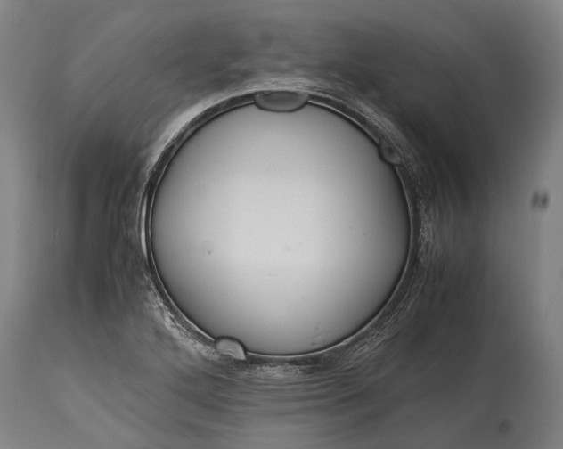 X0000115311272200911161712