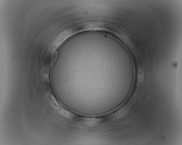 X0000115311273200911161712