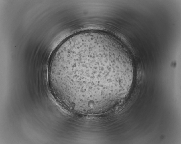 X0000115311274200911161712