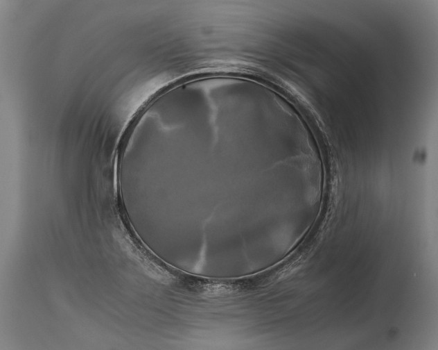 X0000115311275200911161712