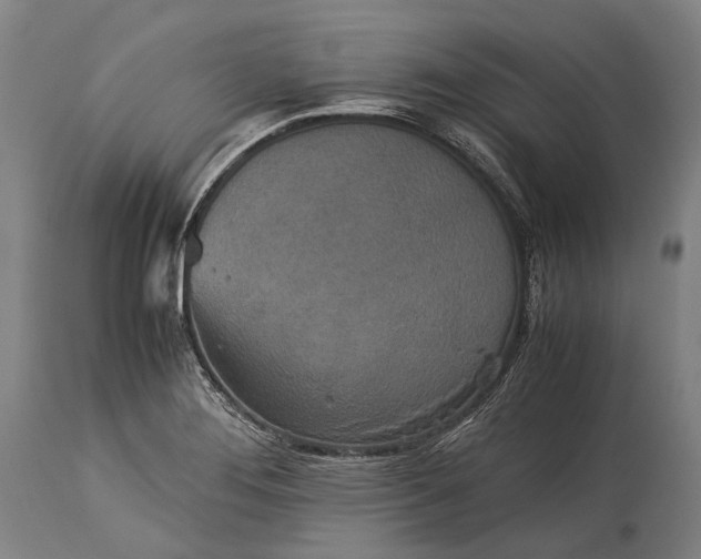 X0000115311276200911161712