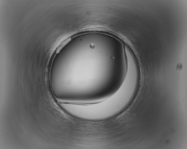 X0000115311277200911161712