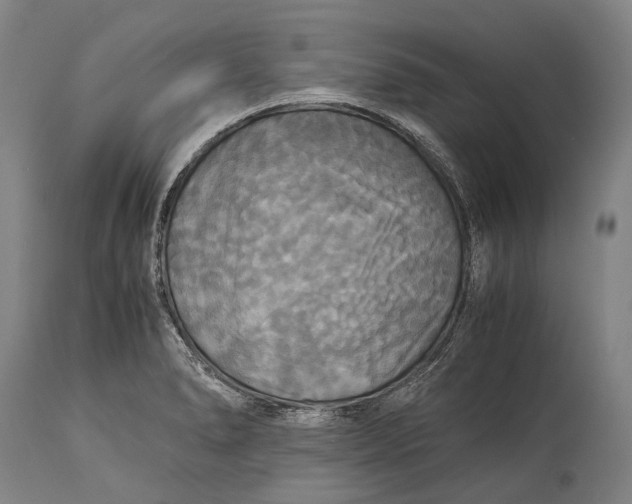 X0000115311278200911161712