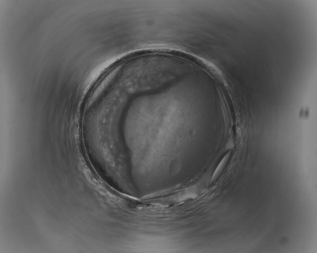 X0000115311279200911161712