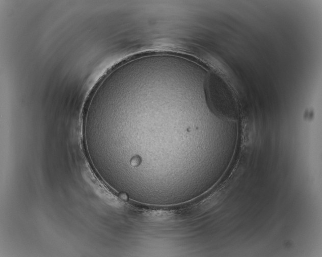 X0000115311280200911161712