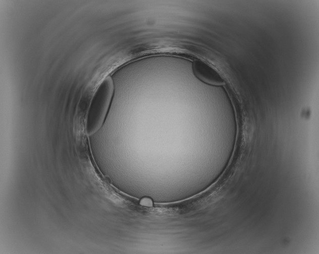 X0000115311281200911161712