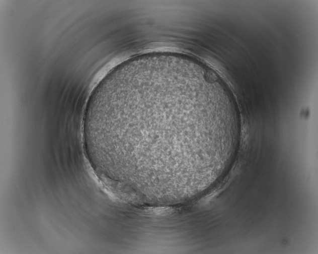 X0000115311282200911161712