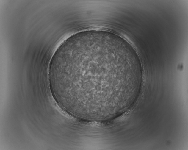 X0000115311283200911161712