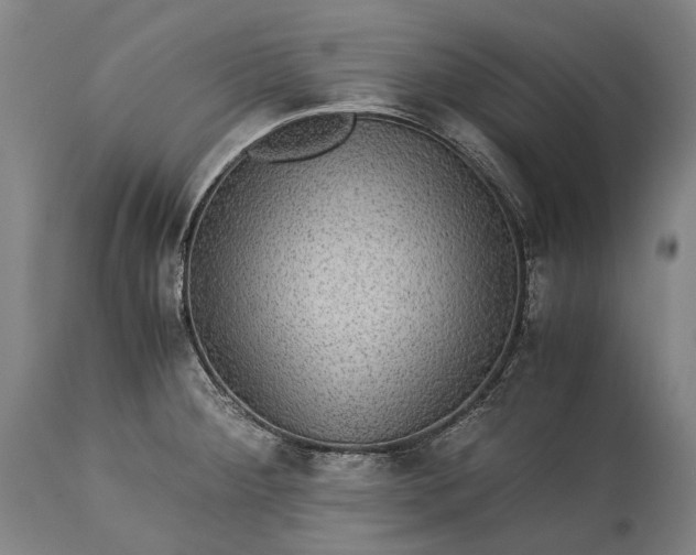 X0000115311284200911161712